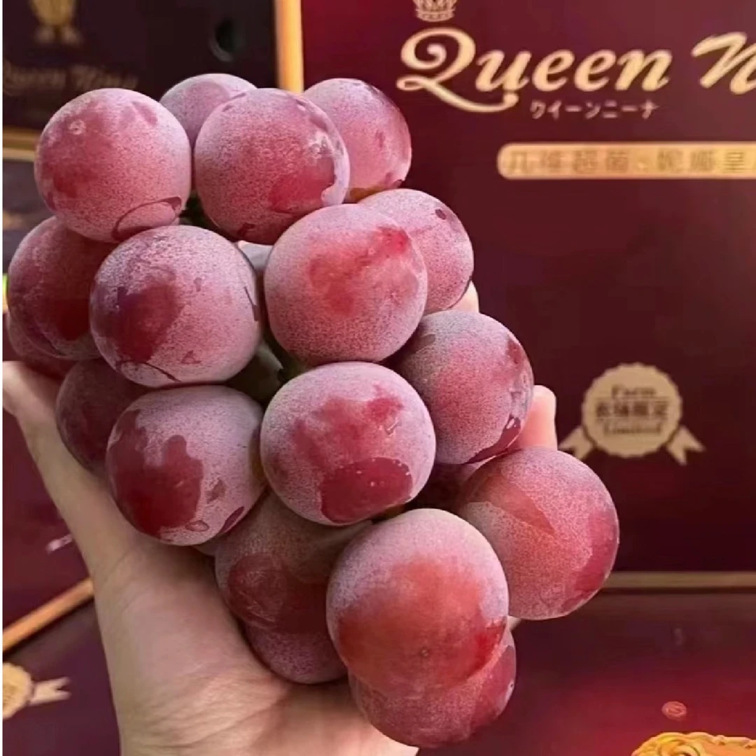 【东胜同城送】妮娜皇后一串（巨甜巨好吃！）