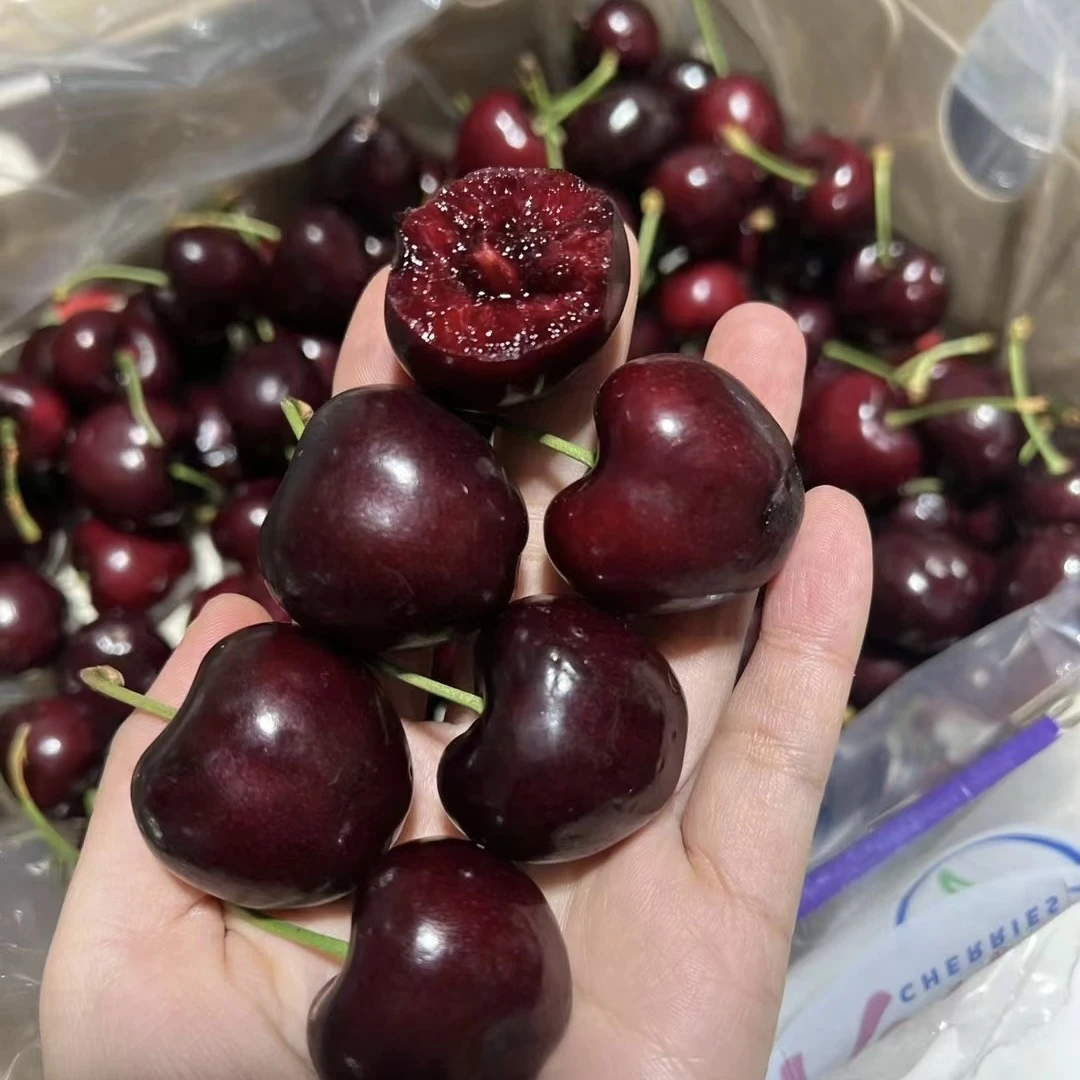 【同城送】智利桑提娜2JD车厘子 500g