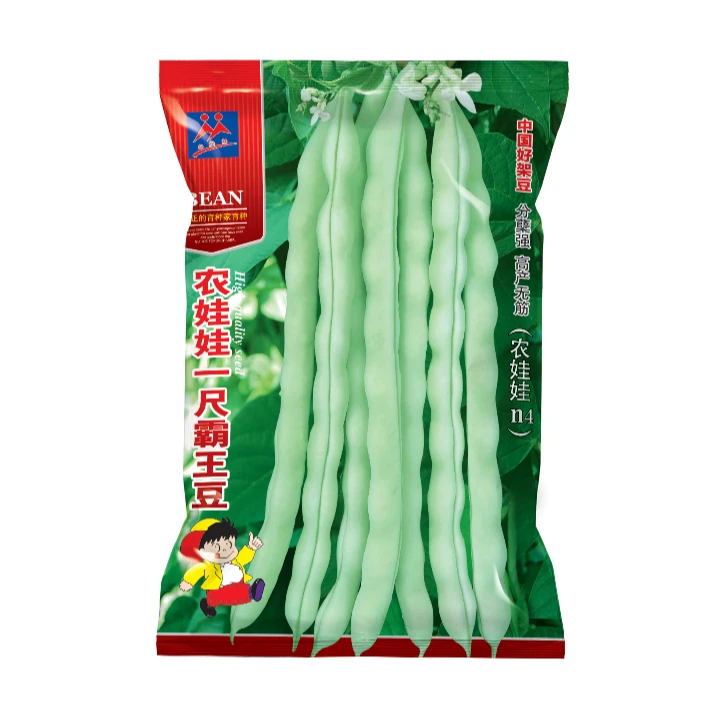 农娃娃一尺霸王豆.高产四季豆白绿条.单株挂角70～120个.压塌架