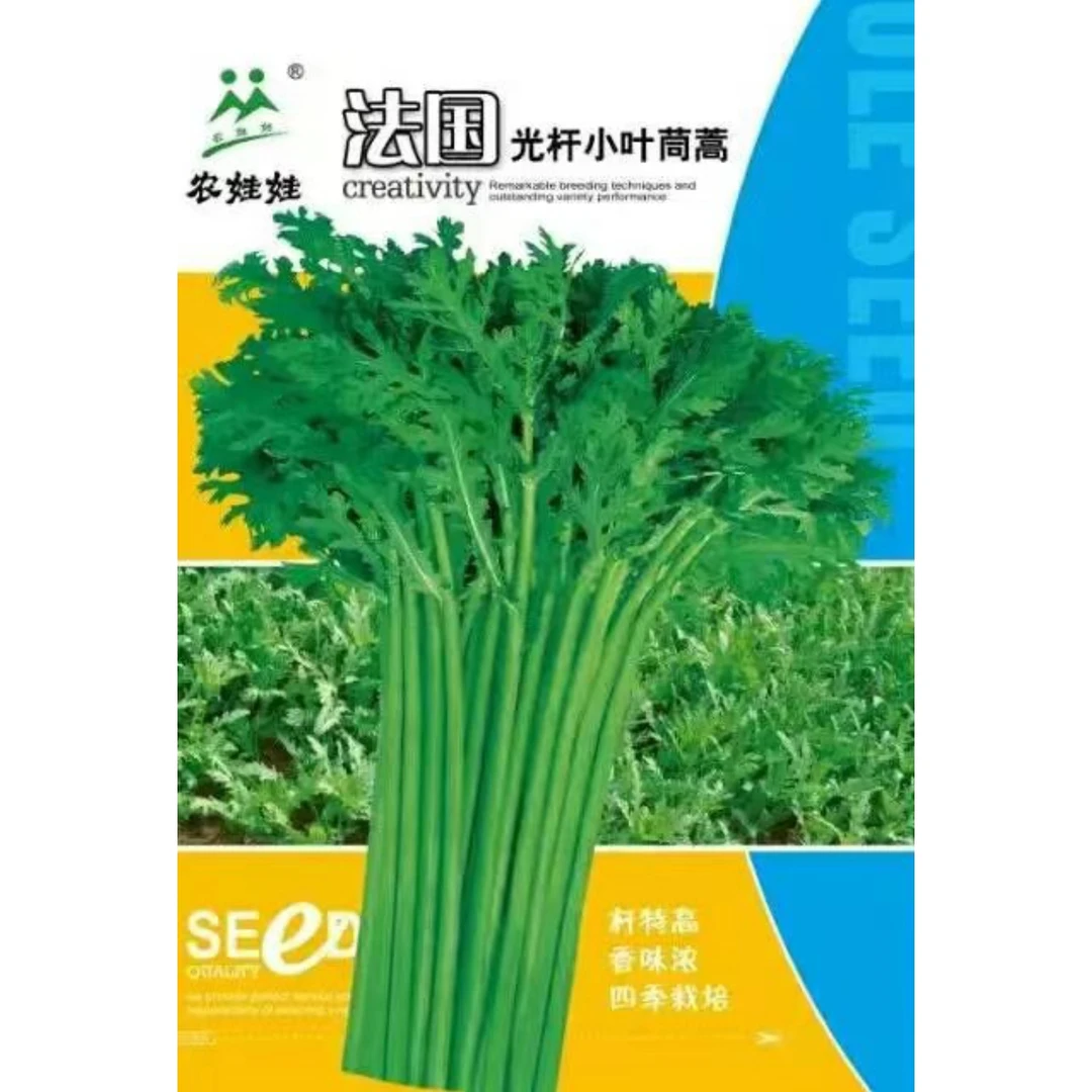农娃娃小叶茼蒿.精品叶菜.周年栽培种子.皇帝菜保健菜.四季叶菜
