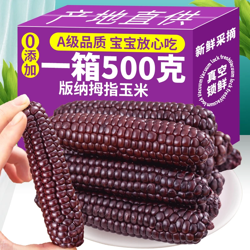 西双版纳拇指小玉米紫糯玉米黑玉米花青素减低脂卡饱腹健身代餐