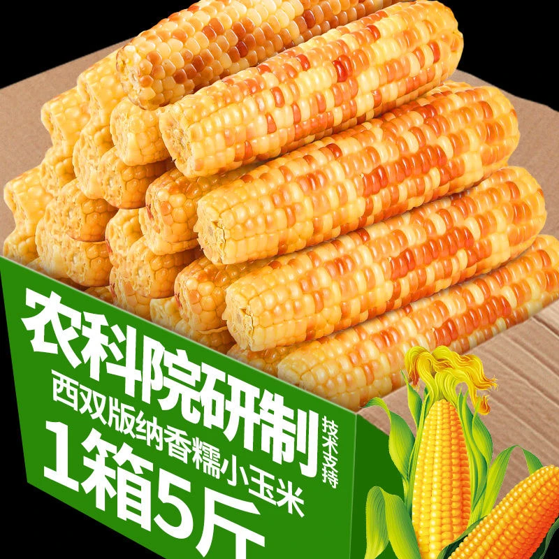 农科院玉米云南西双版纳花糯小玉米新鲜即食黏玉米棒早餐粗粮代餐