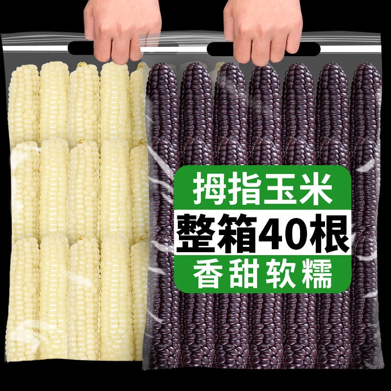西双版纳紫金拇指玉米花糯玉米拇指白玉米黑玉米真空常温新鲜甜糯