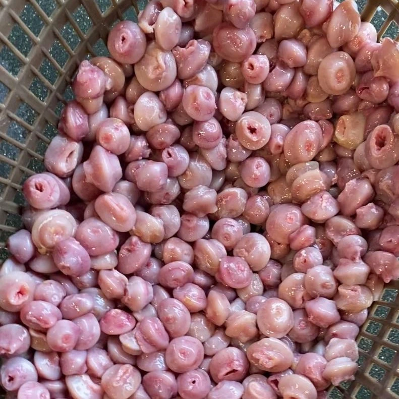 《小福建推荐》福建东海乌鱼鲻鱼胃鱼扣 500克