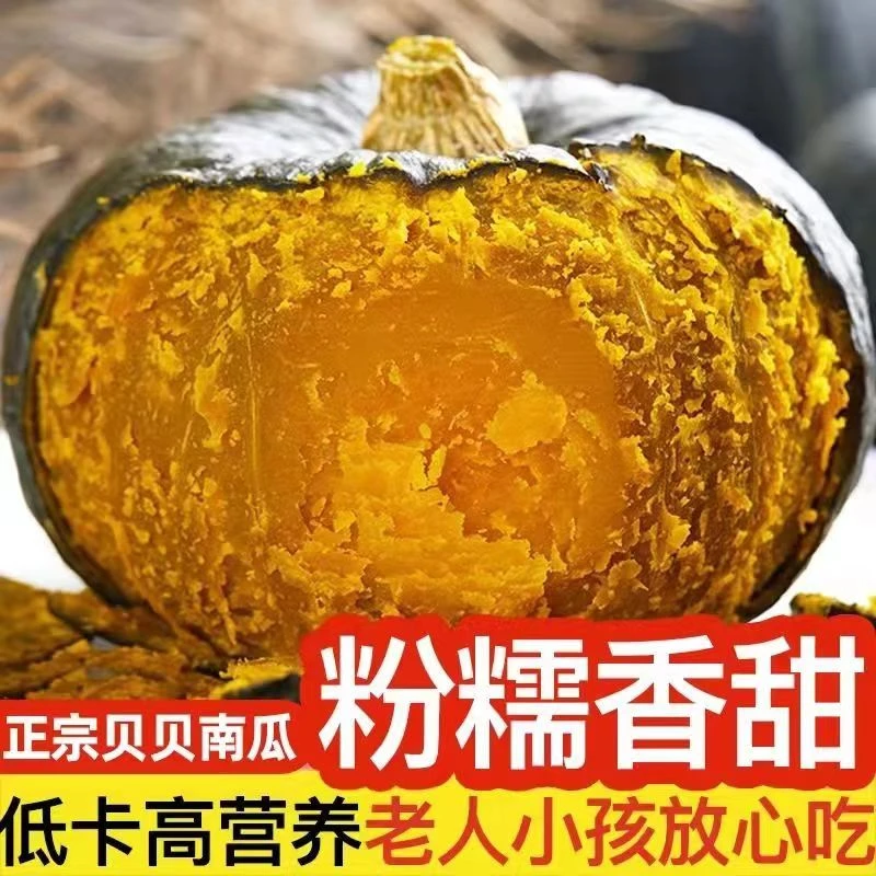 z内蒙正宗贝贝南瓜粉糯香甜板栗味小南瓜整箱粉面沙漠贝贝小南瓜