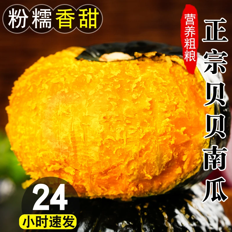 【坏果包赔】正宗贝贝南瓜板栗味道香甜优质营养健康宝宝辅食熬粥