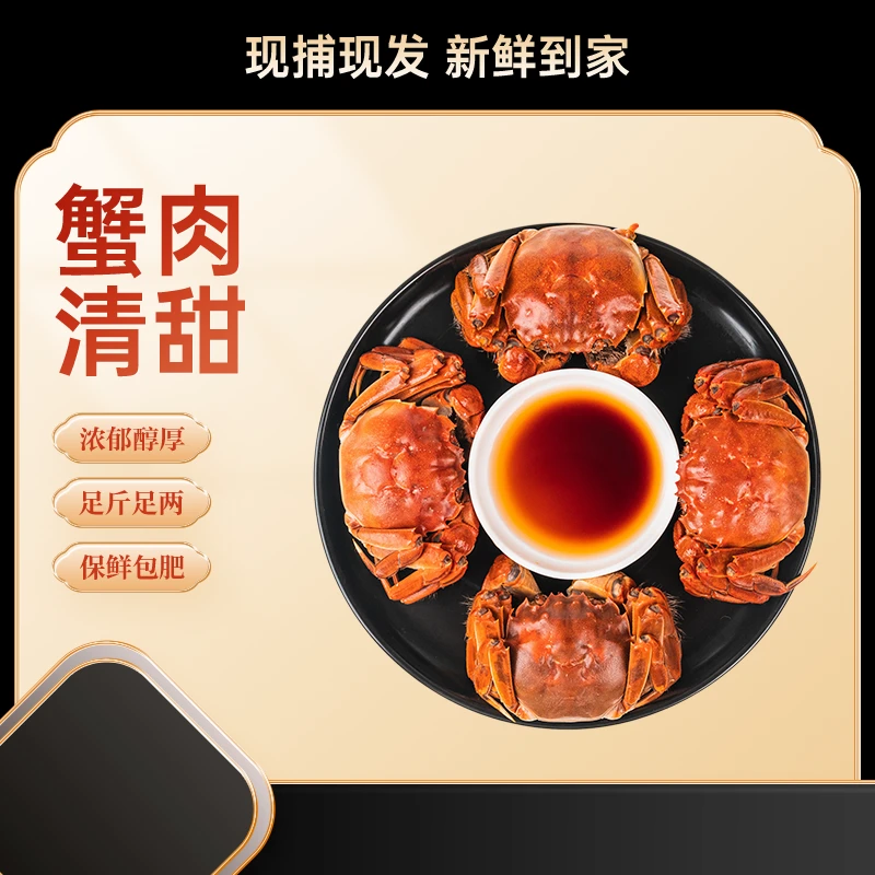 【活蟹现发】精品大闸蟹全母蟹3.1两-2.8两*8只起 严选品质顺丰发货