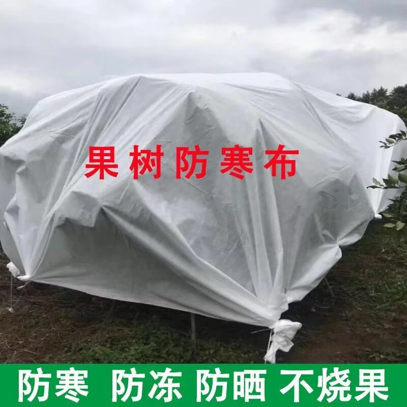 【厂家直销】果树防寒布柑橘橙树果园苗木防冻保暖农用保温膜批发