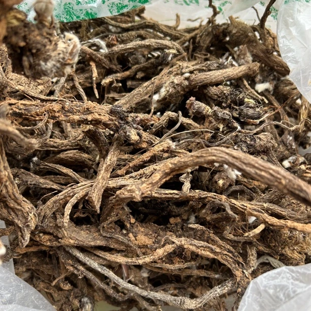 【漏芦】秦岭大山采挖非种植漏芦 自然晾晒整根 150g包邮 另售山药