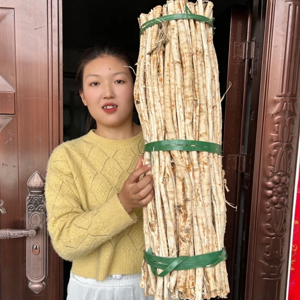 【桑白皮】秦岭山里采的桑根皮干净无硫自然晾晒250g包邮另售山药