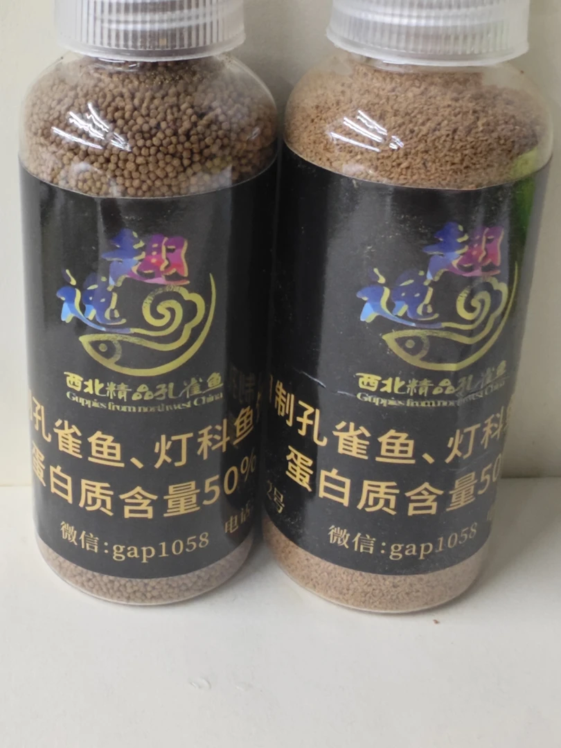 自制孔雀鱼，灯科鱼饲料