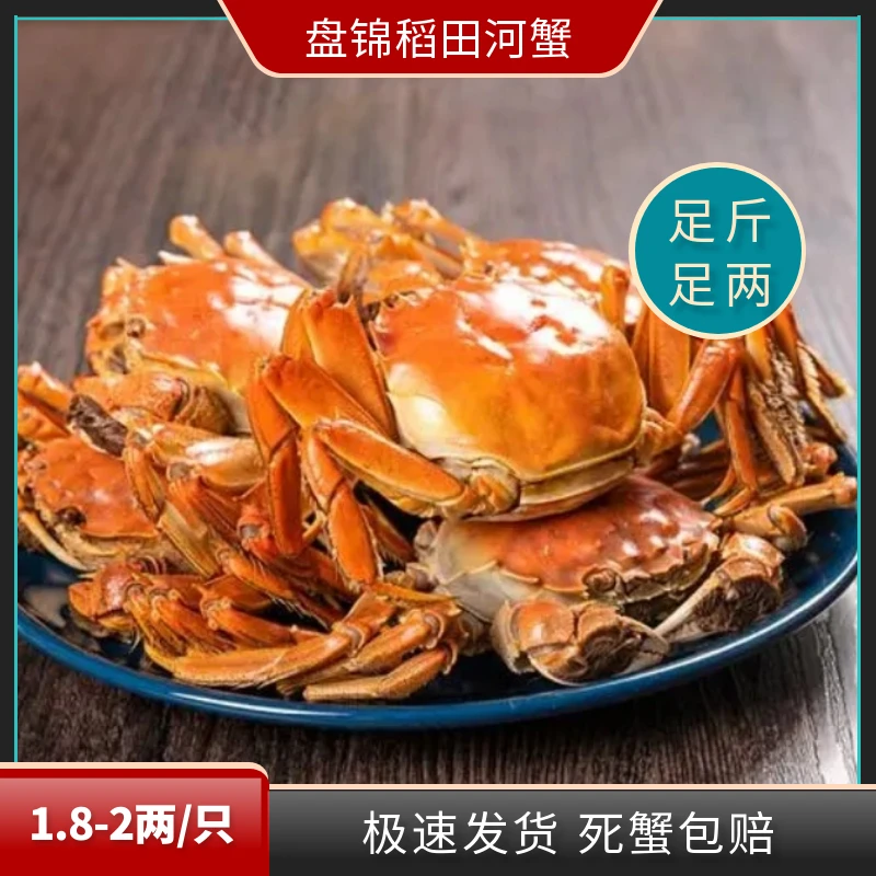 盘锦河蟹公1.8-2两(2斤10只)