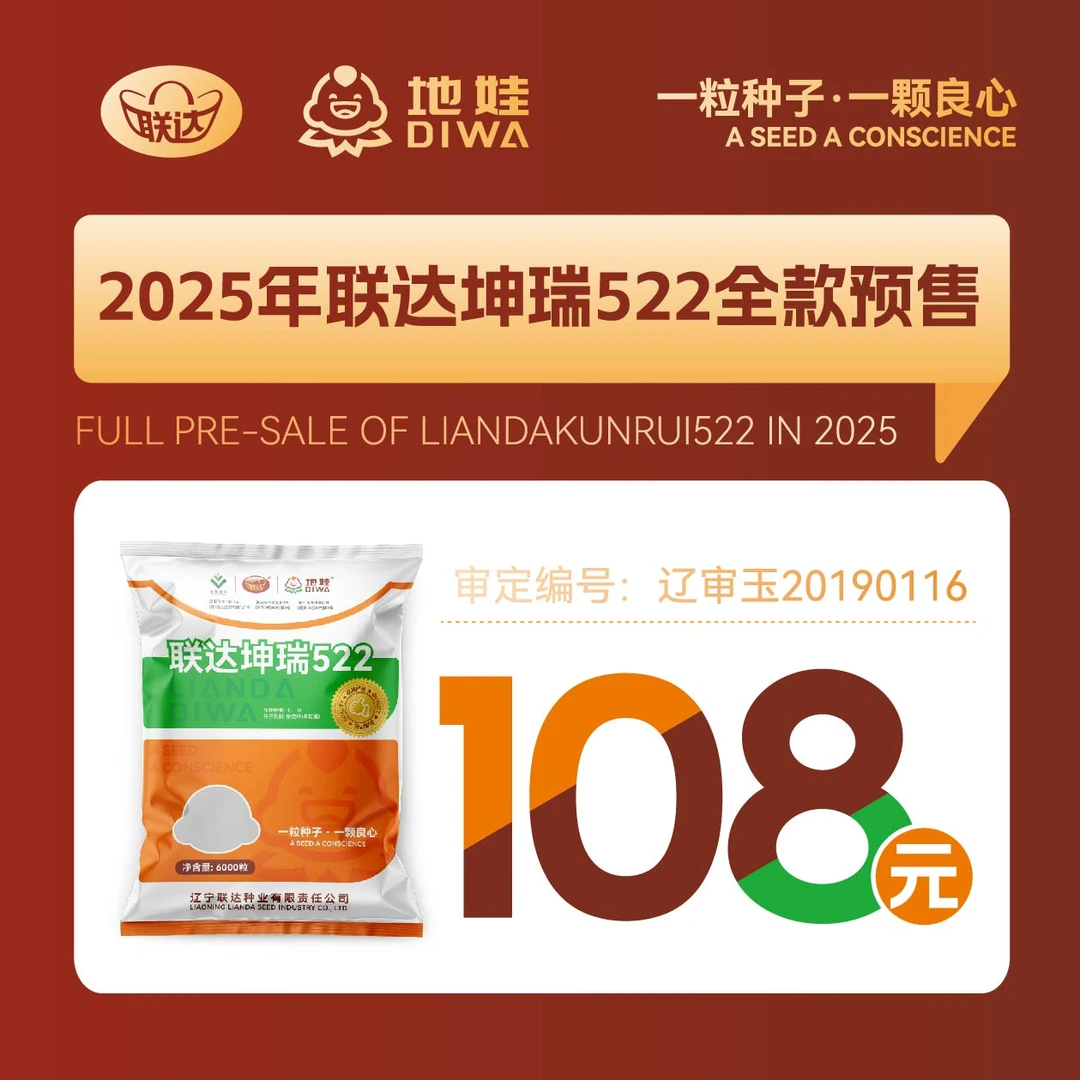 联达地娃522高产玉米种子