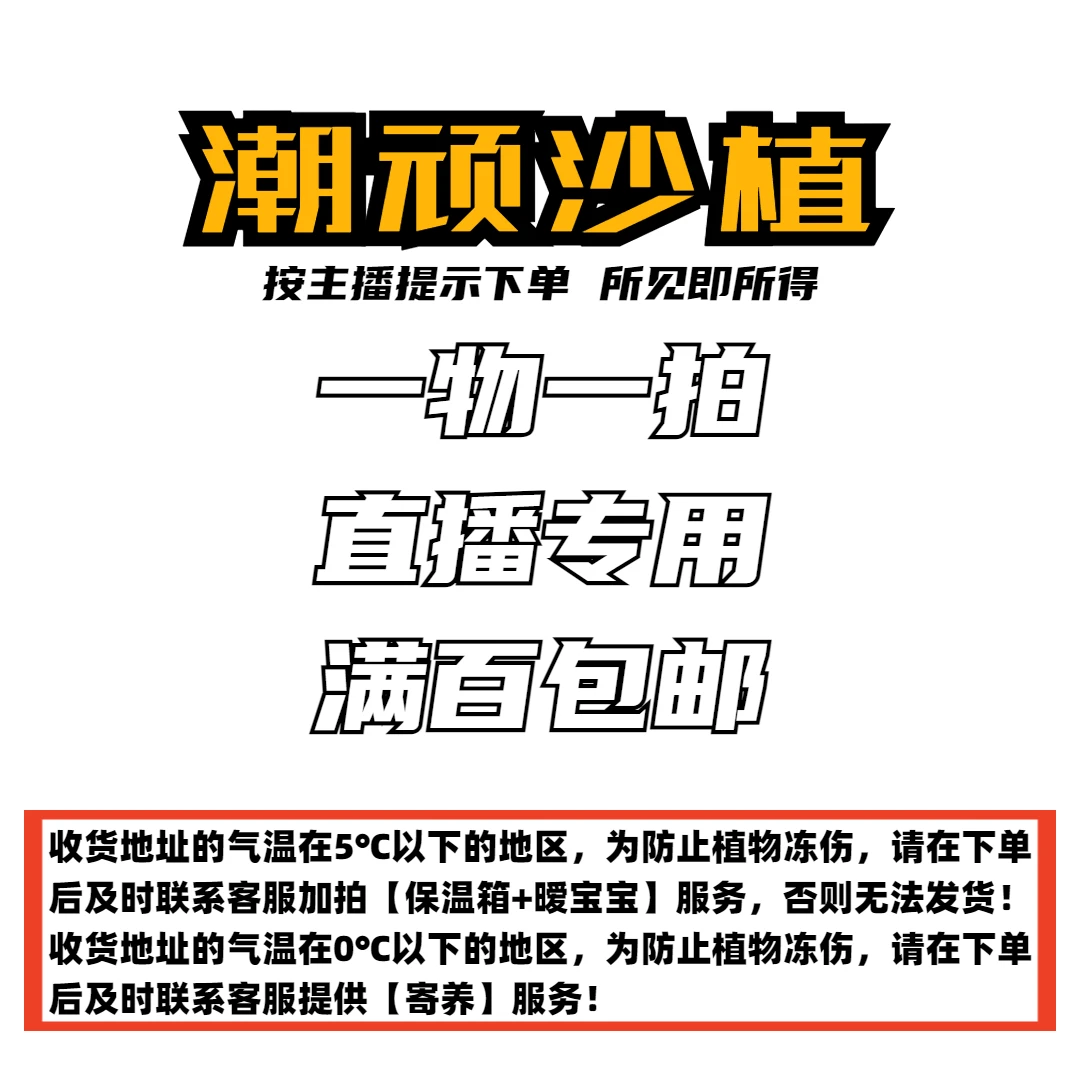 【潮顽沙植】一物一拍 直播专用