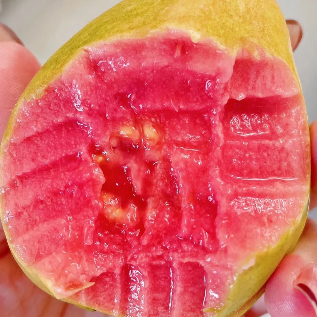 【满50】（同城一小时送达）红芭乐一箱
