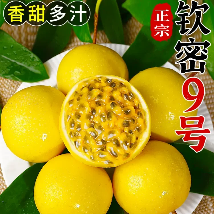 [产地直发]广西正宗钦密9号黄金百香果新鲜大果酸甜多汁整箱包邮