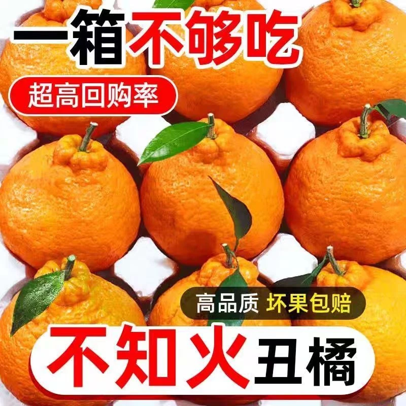 【超低价】正宗不知火丑橘当季新鲜橘子手剥超甜大果现摘水果耙耙柑