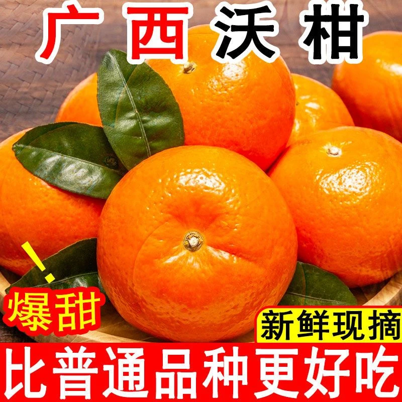 【正宗】广西武鸣沃柑新鲜水果超甜批发现摘无籽橘子应季薄皮桔子