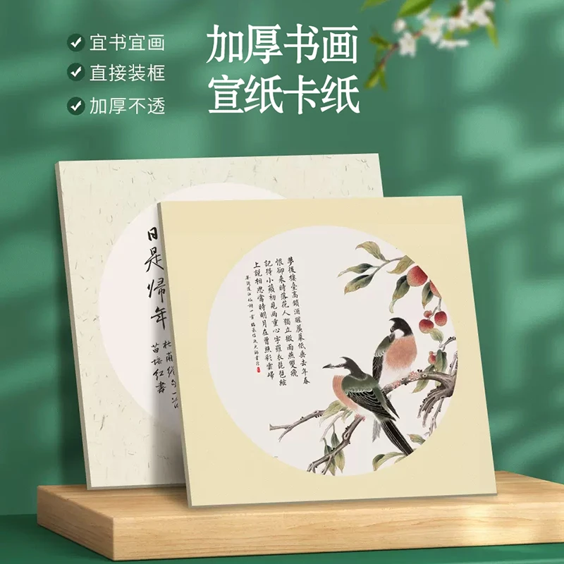 澹品斋【加厚卡纸宣纸】半生熟书画专用免装裱作品纸加厚镜片纸白色