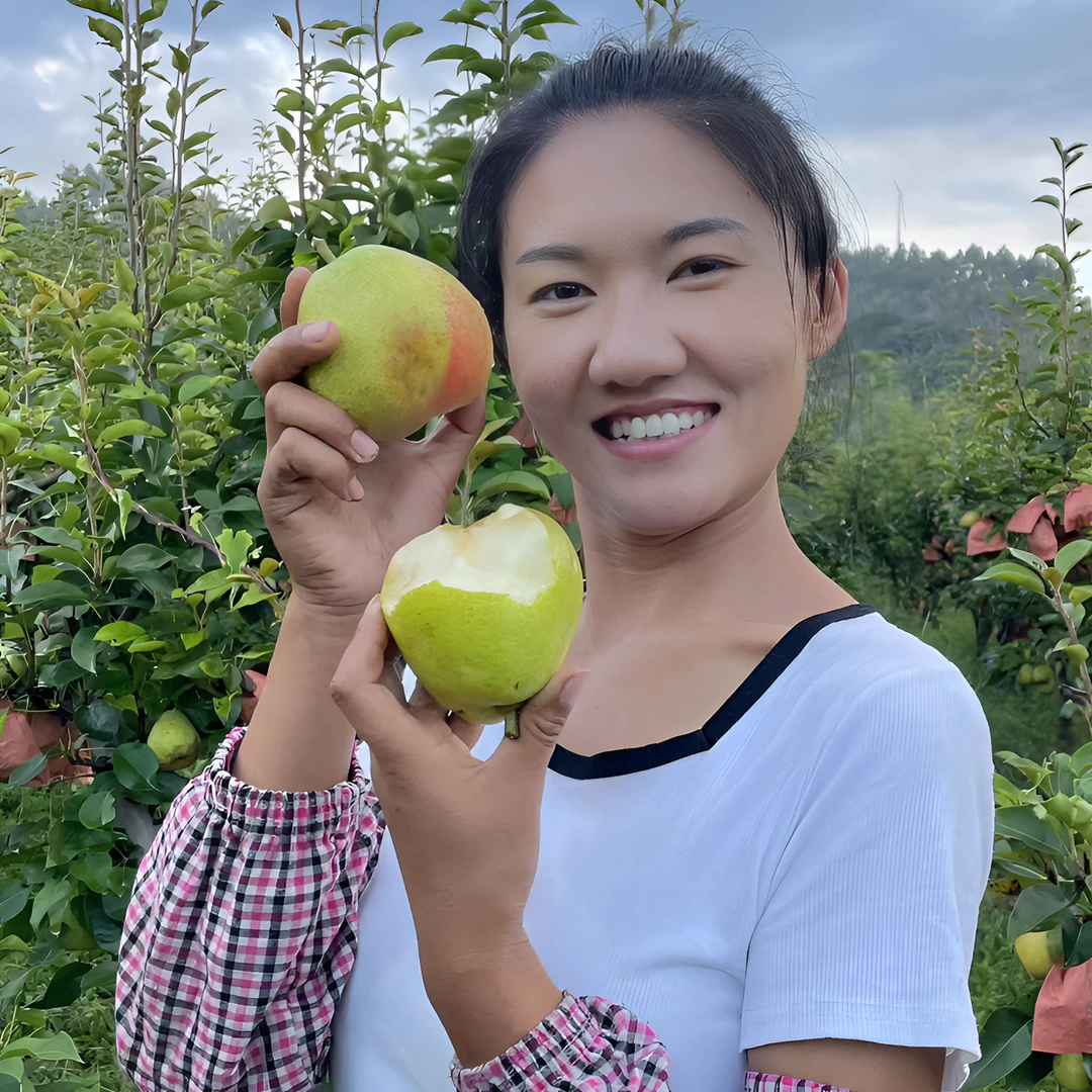 彝乡阿兰妹自家果园种植云南红梨火把梨当季新鲜水果(酸甜口感)