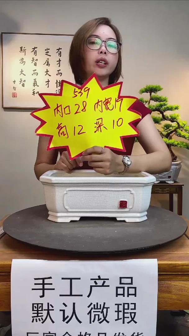 【闪购商品】539-白