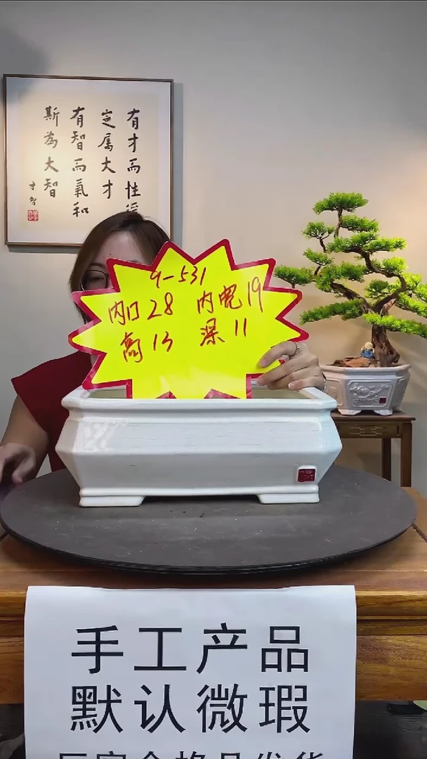 【闪购商品】531-白