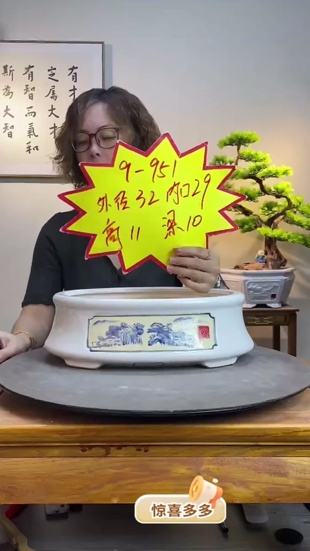 【闪购商品】951-山水