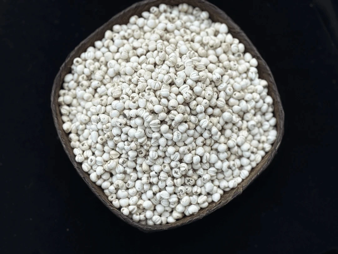 小太阳景云 川呗 鱼胶花胶 50g