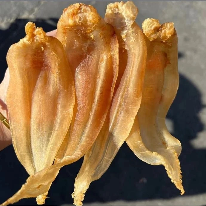 小太阳景云 土鳘公 鱼胶花胶 250g