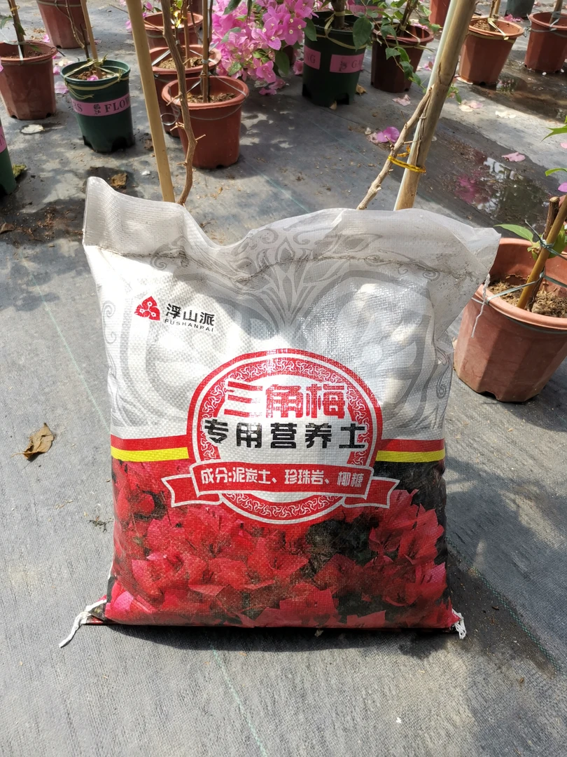 三角梅专用土。。。