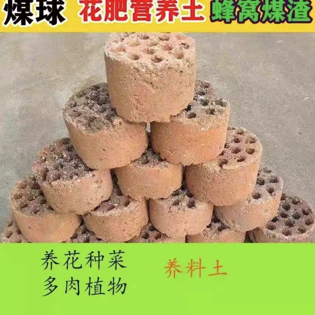 蜂窝煤渣去硫煤球渣多肉兰花营养土煤碳渣防板结透气淘洗浸泡干净