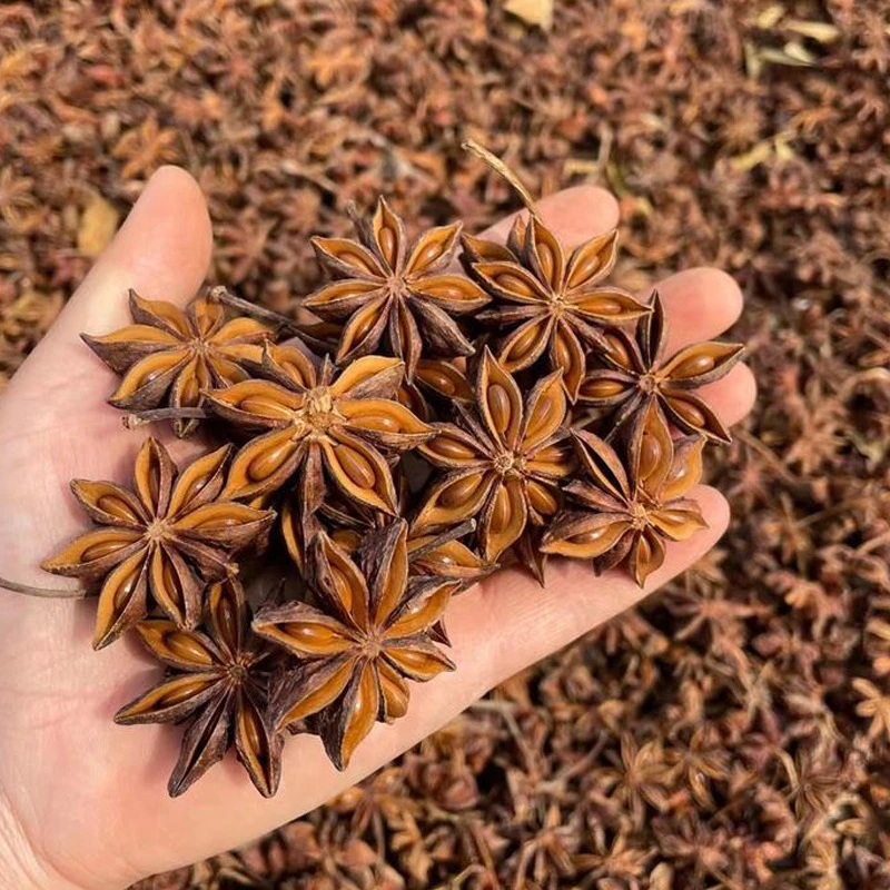 调味香料批发广西大红八角全干无硫干货农家自产八角卤料调料