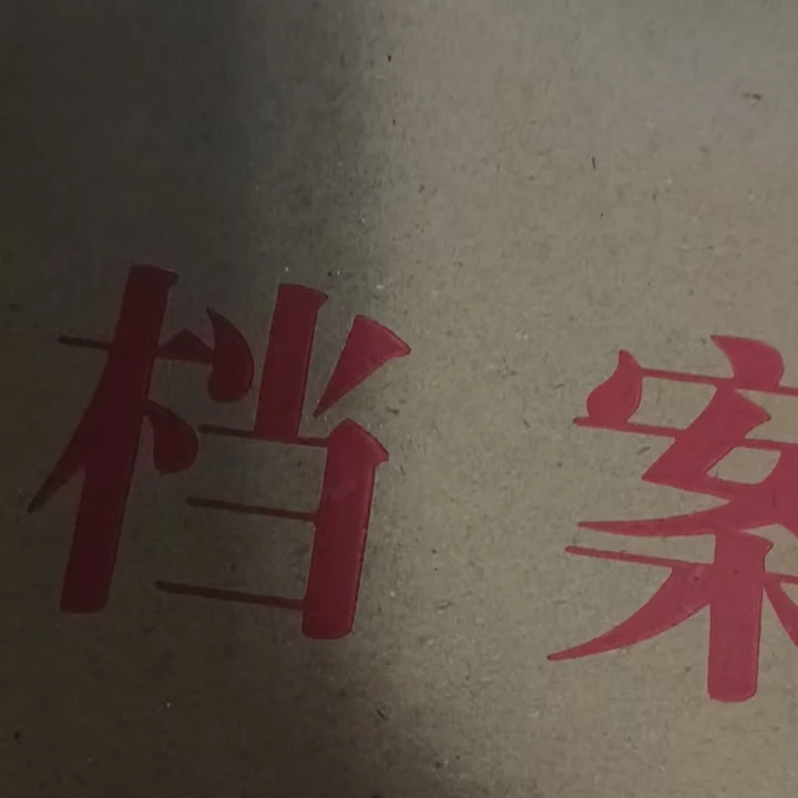 档案袋驚鸍艺术专用链接