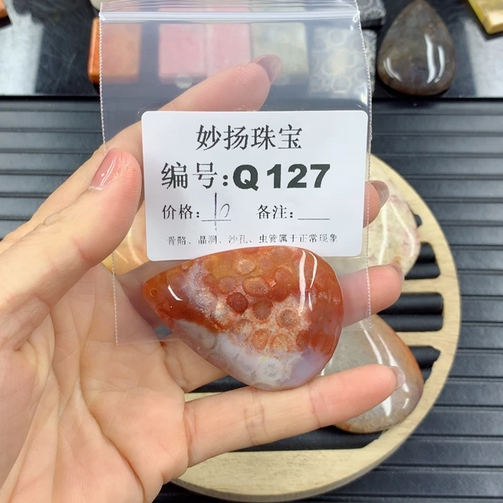 硅化珊瑚(珊瑚玉)1未镶嵌珍**康
