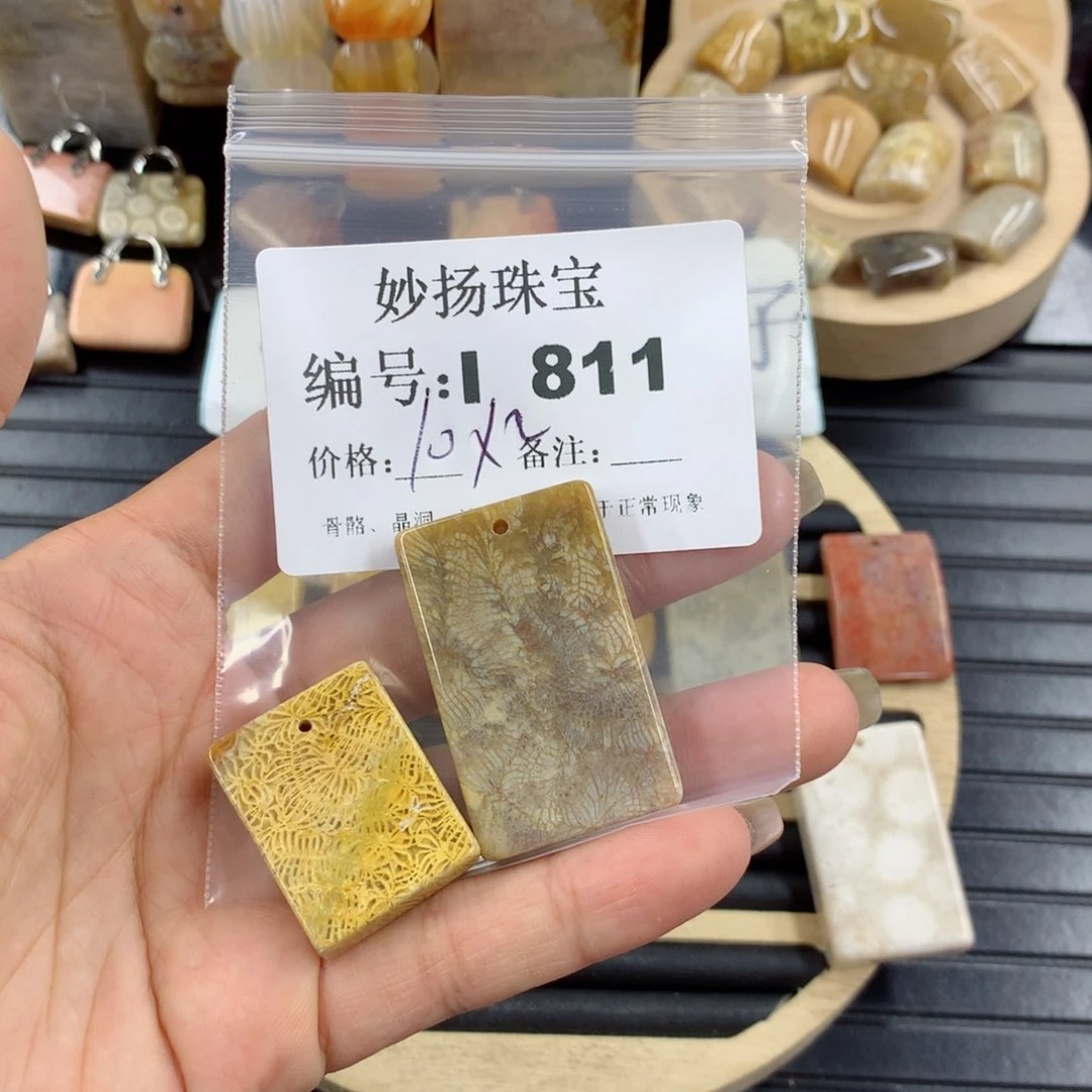 硅化珊瑚（珊瑚玉）1未镶嵌H****语