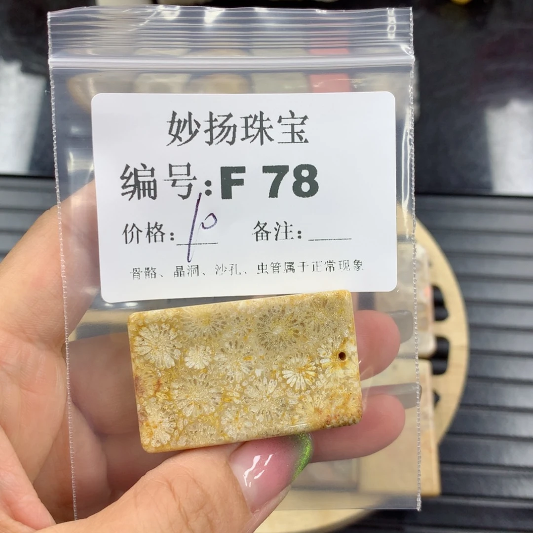 硅化珊瑚(珊瑚玉)1未镶嵌用****5