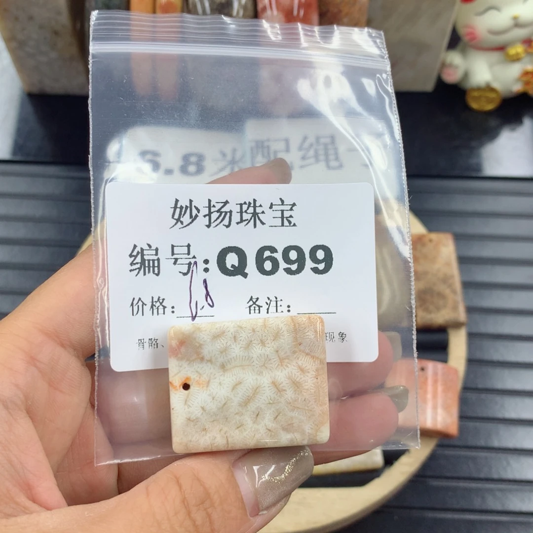 硅化珊瑚(珊瑚玉)1未镶嵌用****6