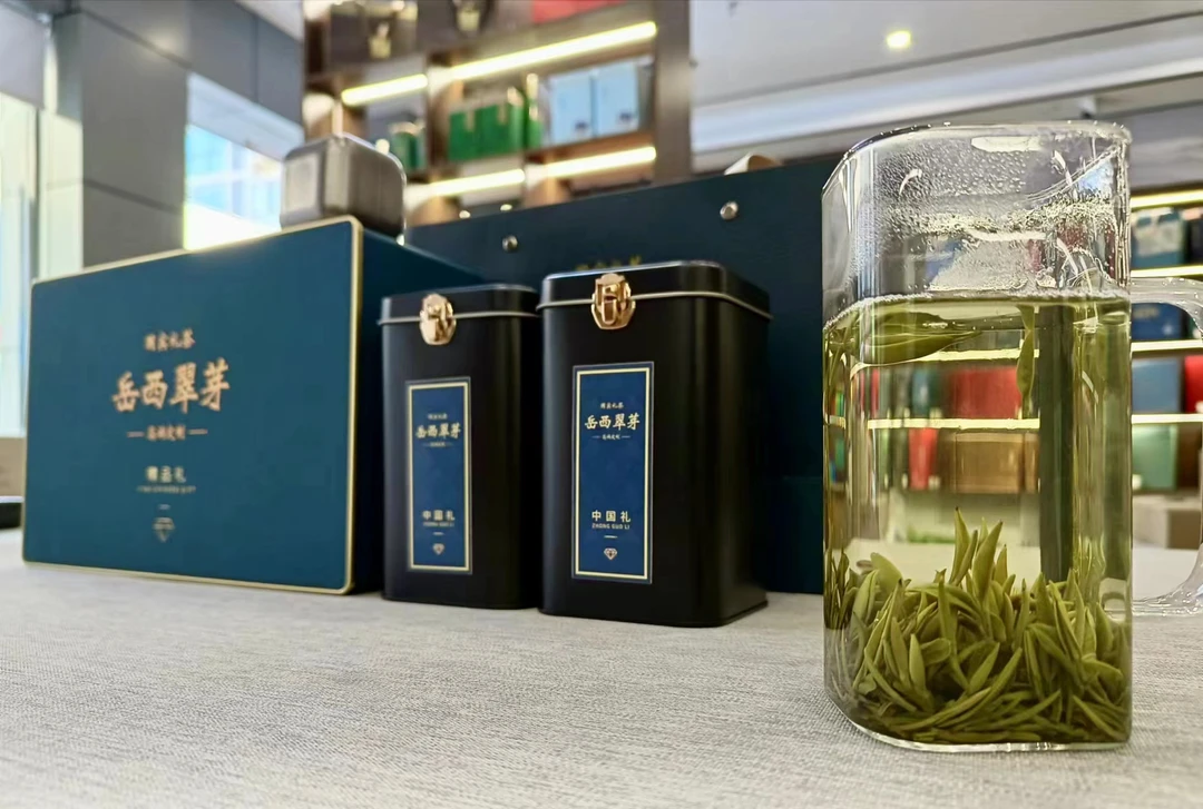 2024新茶岳西翠兰 翠尖 精品翠芽 明前头采高山绿茶250g-500g
