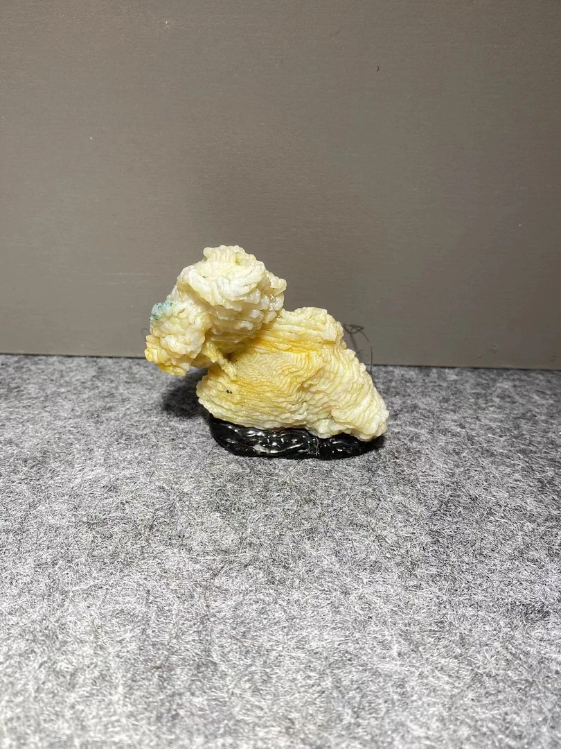 《石货铺》阿拉善戈壁奇石摆件彩石摆件景观石摆件造景石  直播链接