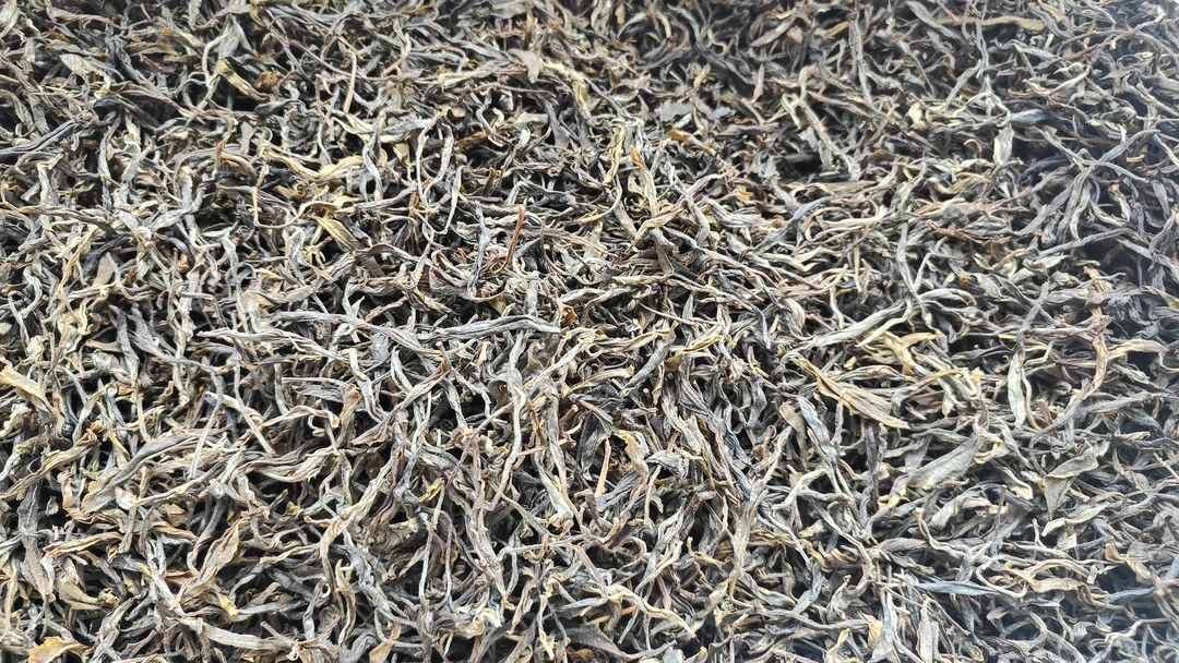 2024年易武曼松王子山 50克