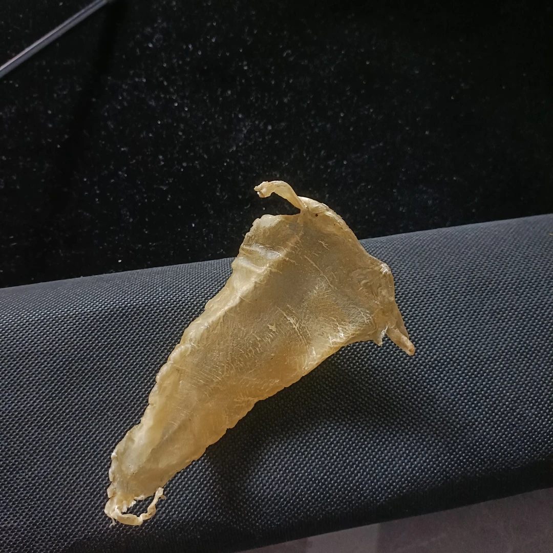 大耳1头 干货高品质花胶1-500克顺丰包邮（改链接）