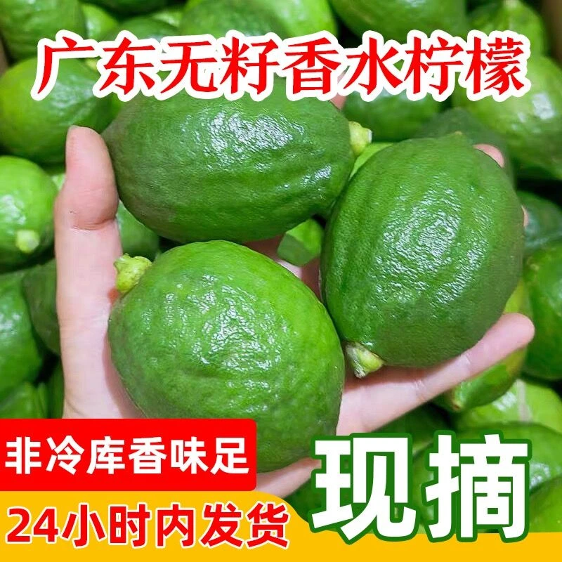 广东香水柠檬一级果正宗无籽奶茶店手打柠檬茶专用新鲜柠檬果园