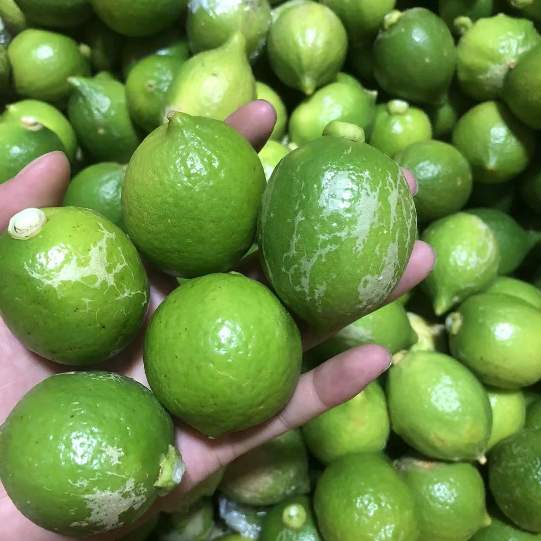 广东无籽香水柠檬新鲜水果二级小果5斤手打柠檬奶茶咖啡店浓香型