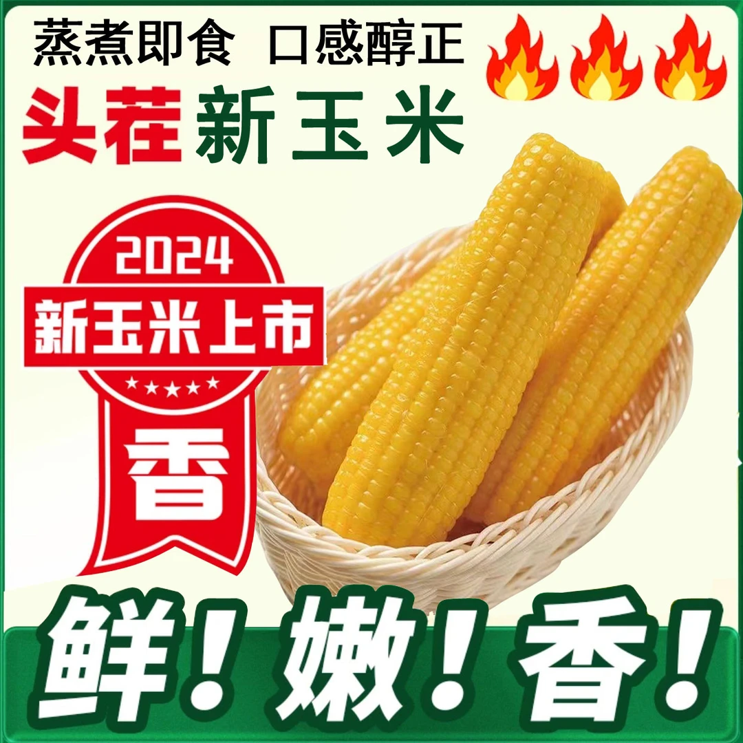 B【24年头茬黄糯玉米】10棒正宗东北玉米早餐代餐200g以上/棒0蔗糖