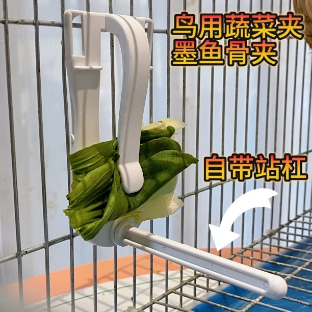 玉鸟 芙蓉鸟 墨鱼骨夹水果蔬菜夹方便实用鸟用喂食器夹墨鱼骨夹