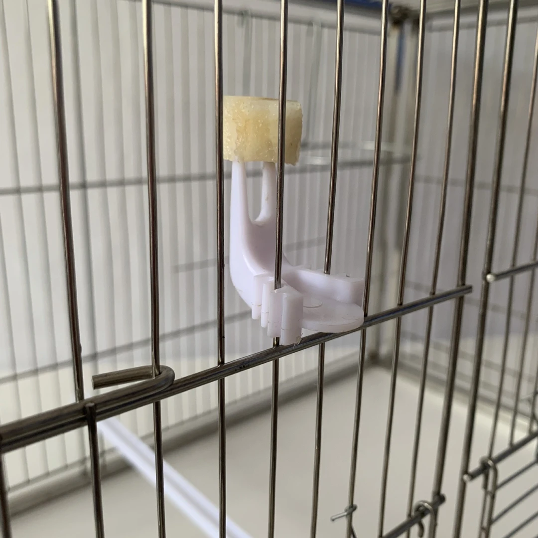 鸟用水果叉塑料鹦鹉用品用具鸟笼配件叉子喂食八哥鹩哥通用鸟食叉