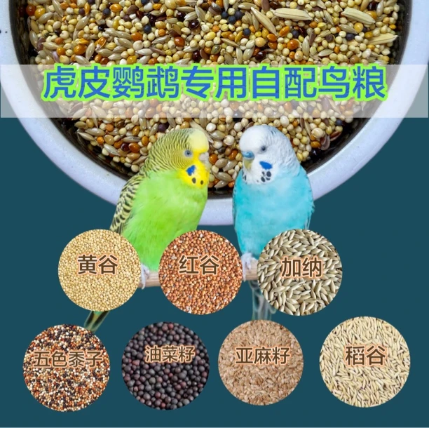大头小头虎皮自配谷子黍子加纳亚麻籽宠物用品鸟粮批发谷物草籽