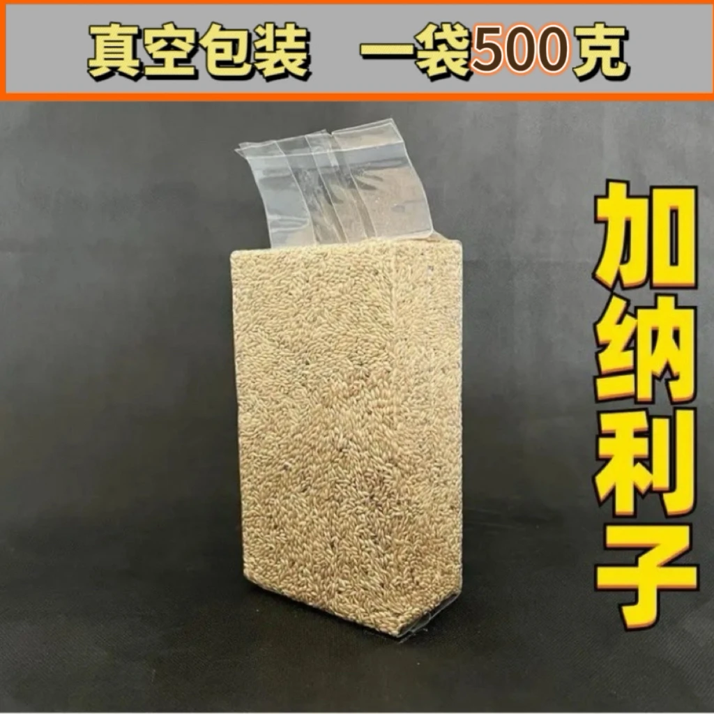 加纳利子鹦鹉鸟食鳥粮白尖栗鸟粮虎皮牡丹太阳鸽子粮鹦鹉鹦鹉食粮