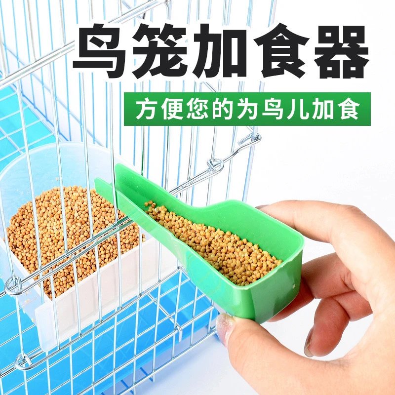 鸟用鹦鹉加料器加食器鸟用加食器加食勺塑料鸟食勺鸟用品用具