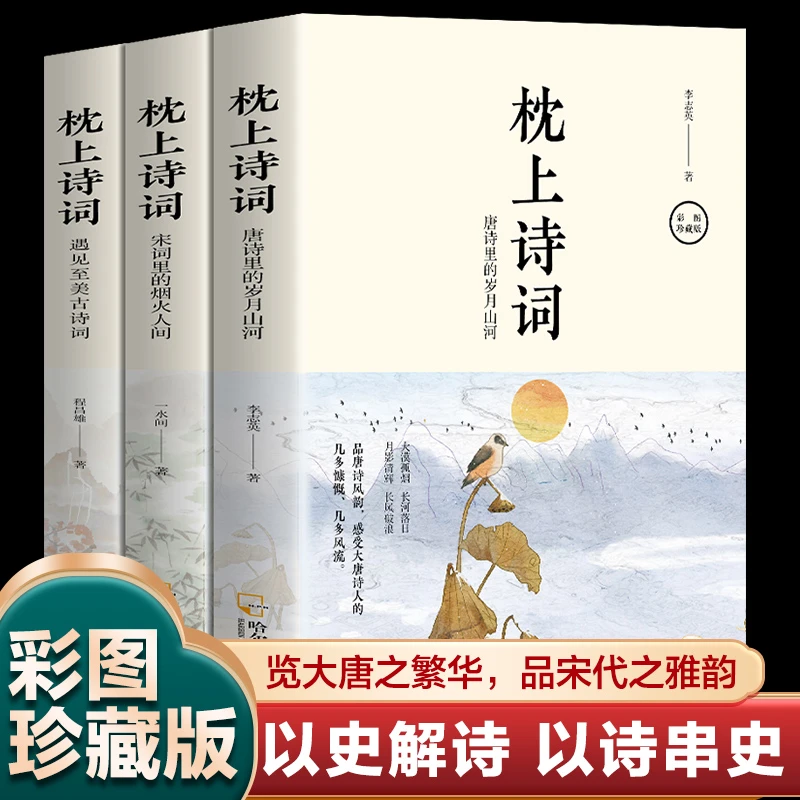 3册 枕上诗词 领略古诗词之美 一诗一词念红尘一字一句品人生诗句
